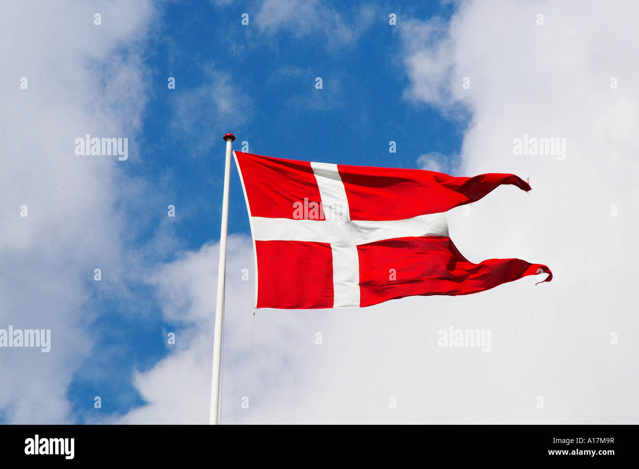 NEU 3x5 Fuß DÄNISCHE FLAGGE Doppelseitig Bessere Qualität USA