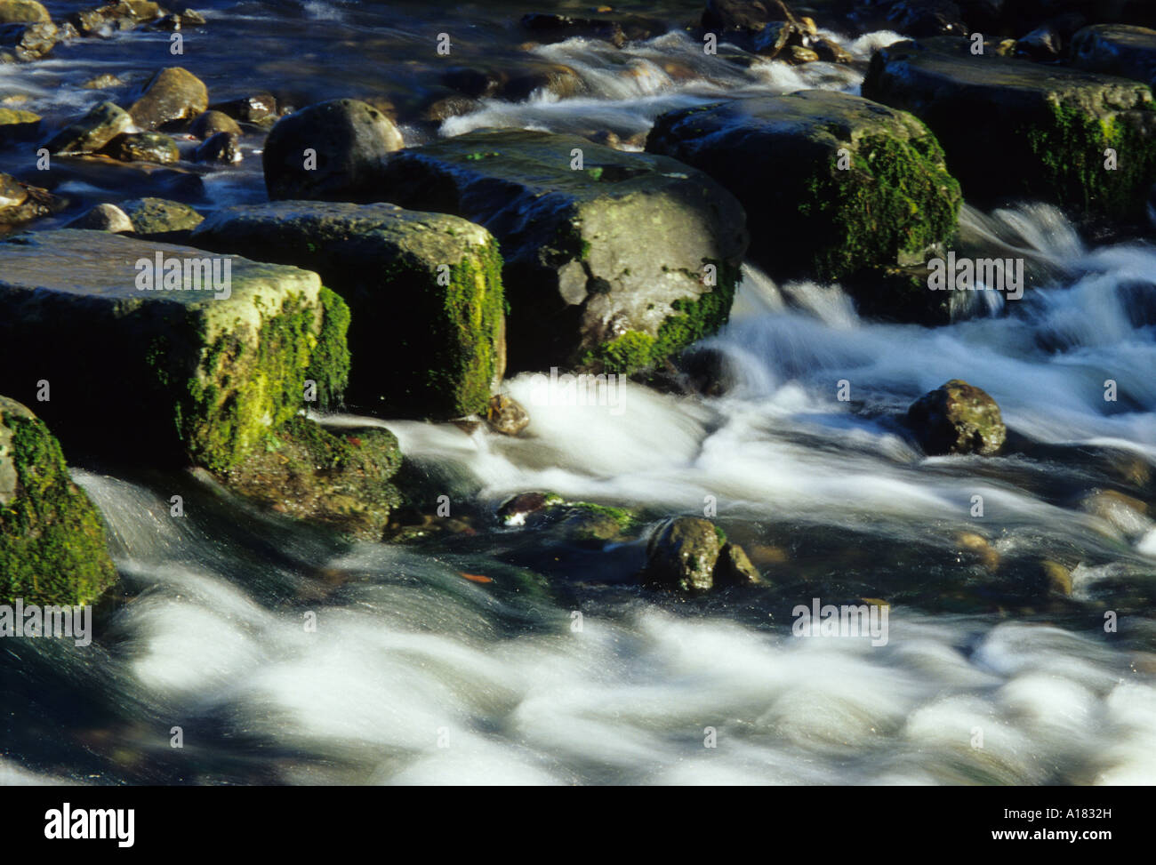 Wasser Rauschen zwischen Trittsteine im Stainforth in Yorkshire Dales Stockfoto