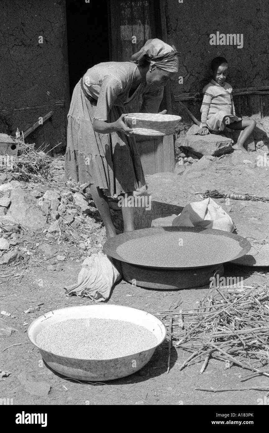 S/W einer Frau in ihrem Hof in den städtischen Slums, die Hirse für die Herstellung von traditionellem Bier namens Tella vorbereitet. Addis Abeba, Äthiopien Stockfoto