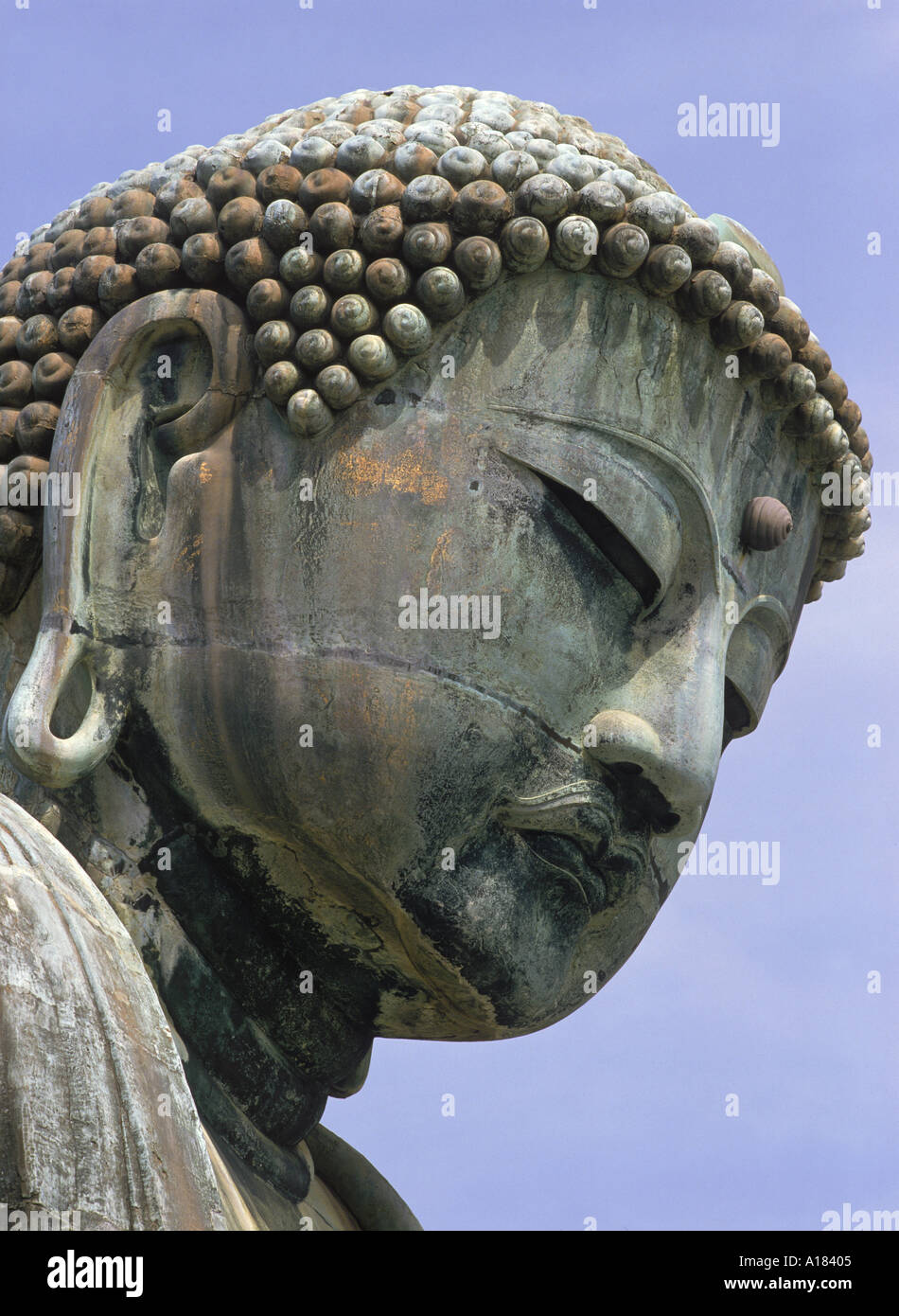 Nahaufnahme des Kopfes des großen Buddha in Kamakura in der Präfektur Kanagawa in Japan Asien N Blythe Stockfoto
