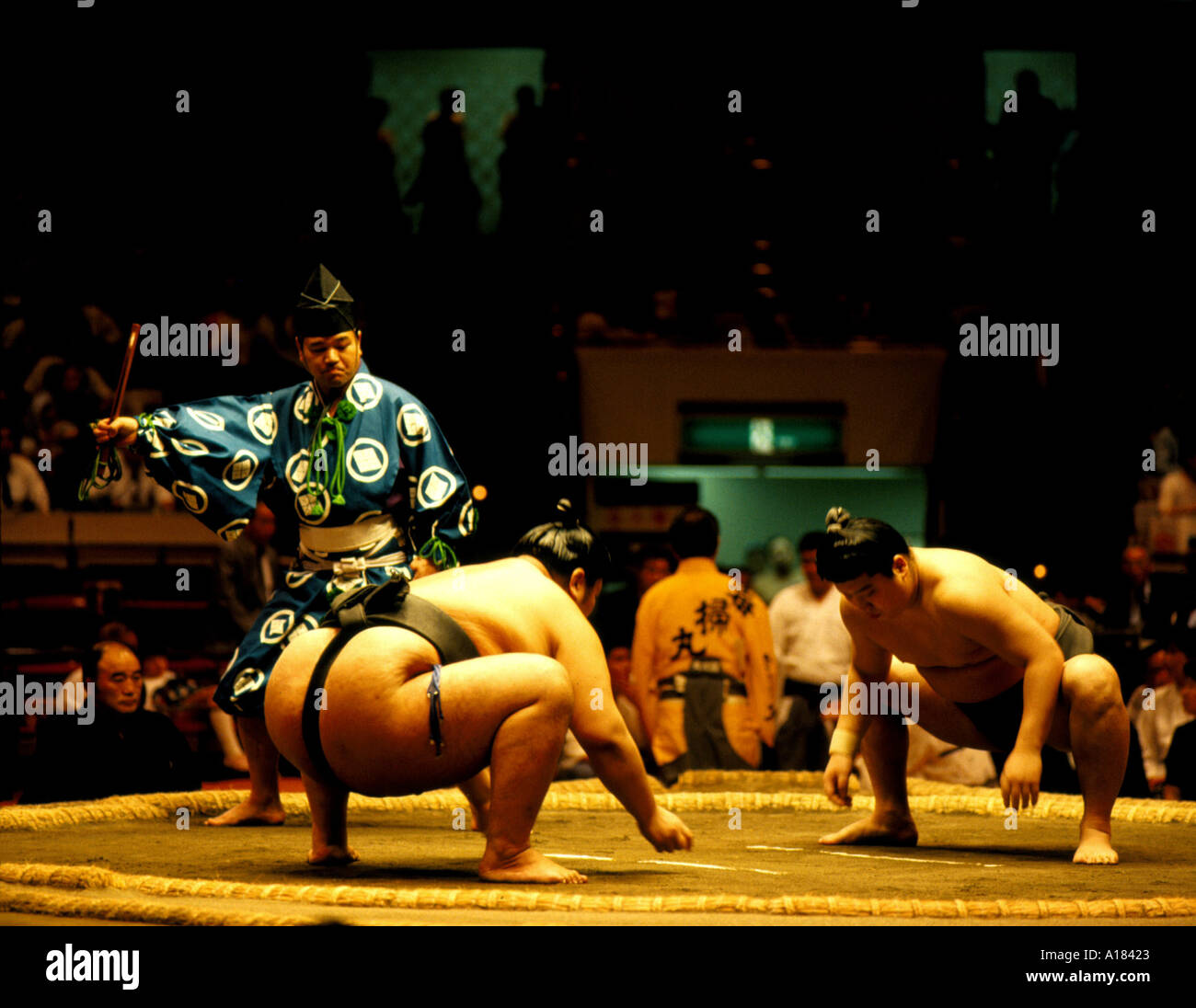 Sumo-Ringen Tokyo Japan N Blythe Stockfoto