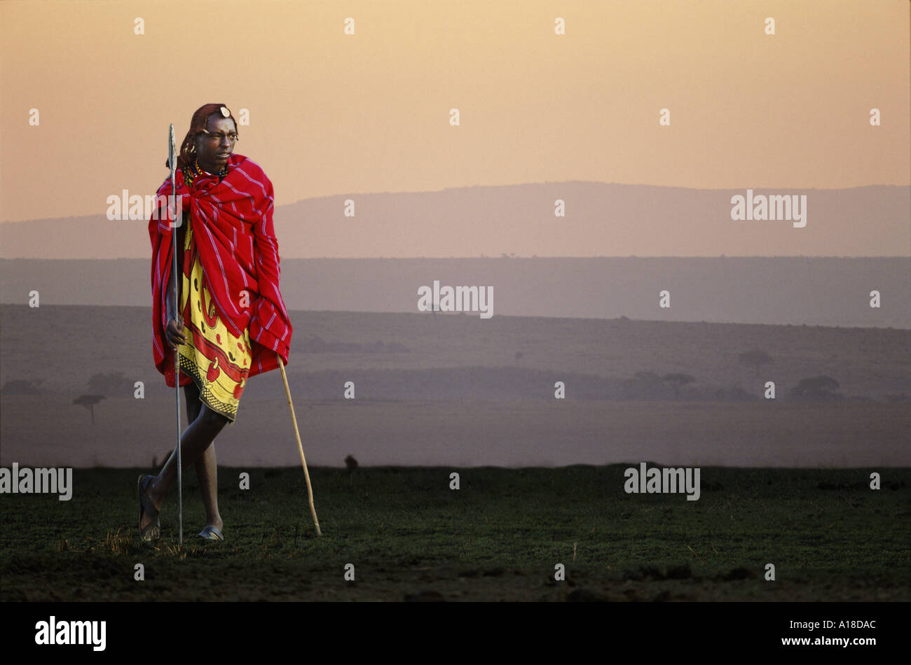 Massai-Hirten im Morgengrauen Kenia Stockfoto