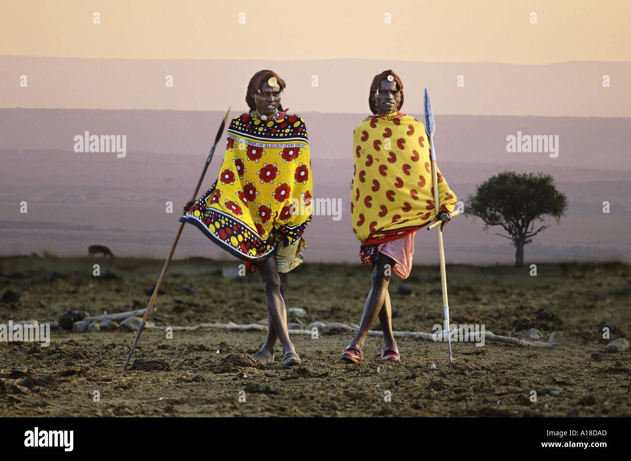 Massai-Hirten im Morgengrauen Kenia Stockfoto