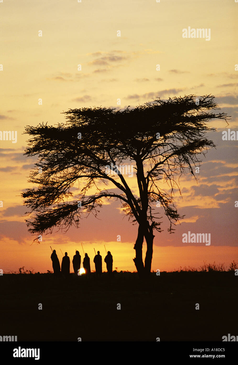 Gruppe von Maasai Männern bei Sonnenaufgang Kenia Stockfoto