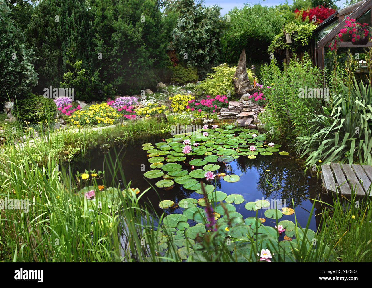 Gartenteich mit Wasserpflanzen, Deutschland Stockfotografie Alamy