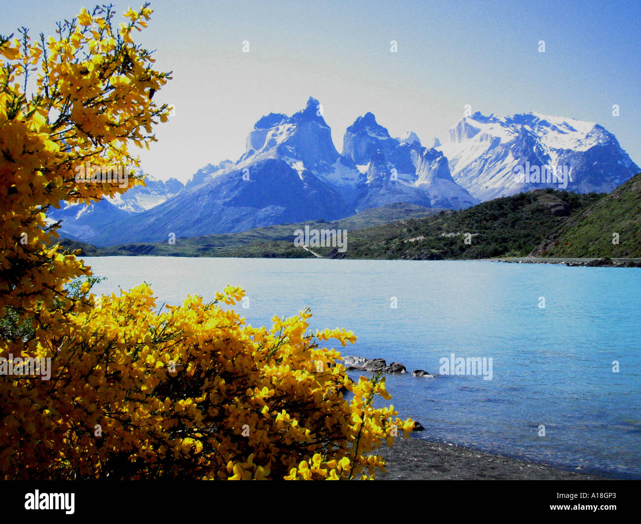 CHILE Torres del Paine Nationalpark Stockfoto