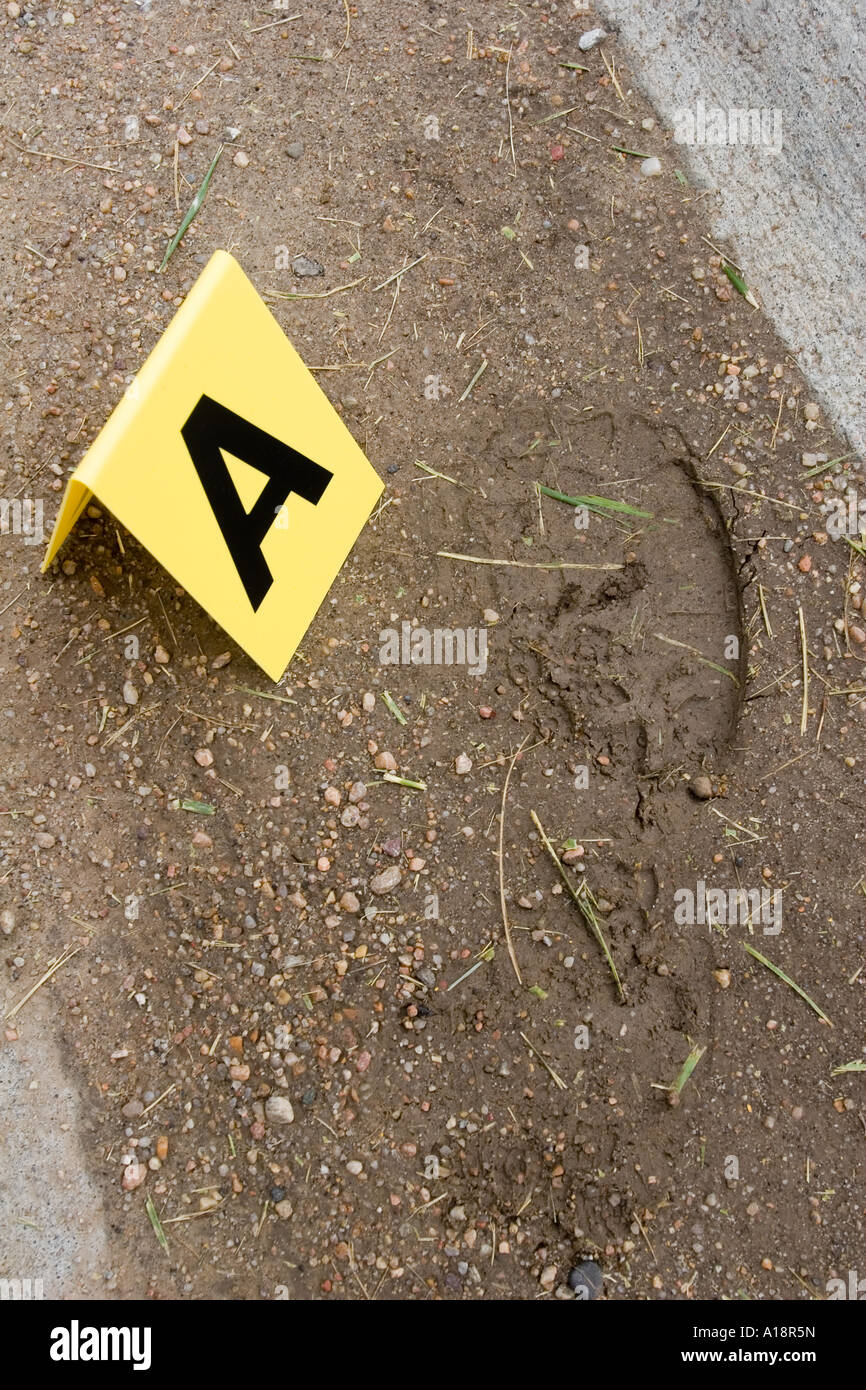 Schuh am Tatort mit forensische Markierung drucken. Stockfoto