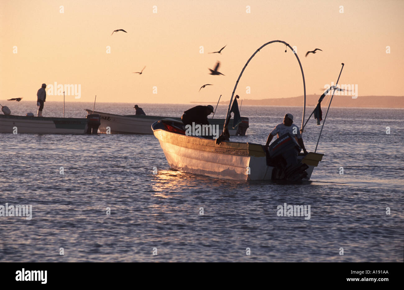 Fischer bei Sonnenaufgang in San Felipe, Baja California Sur, Mexiko Stockfoto