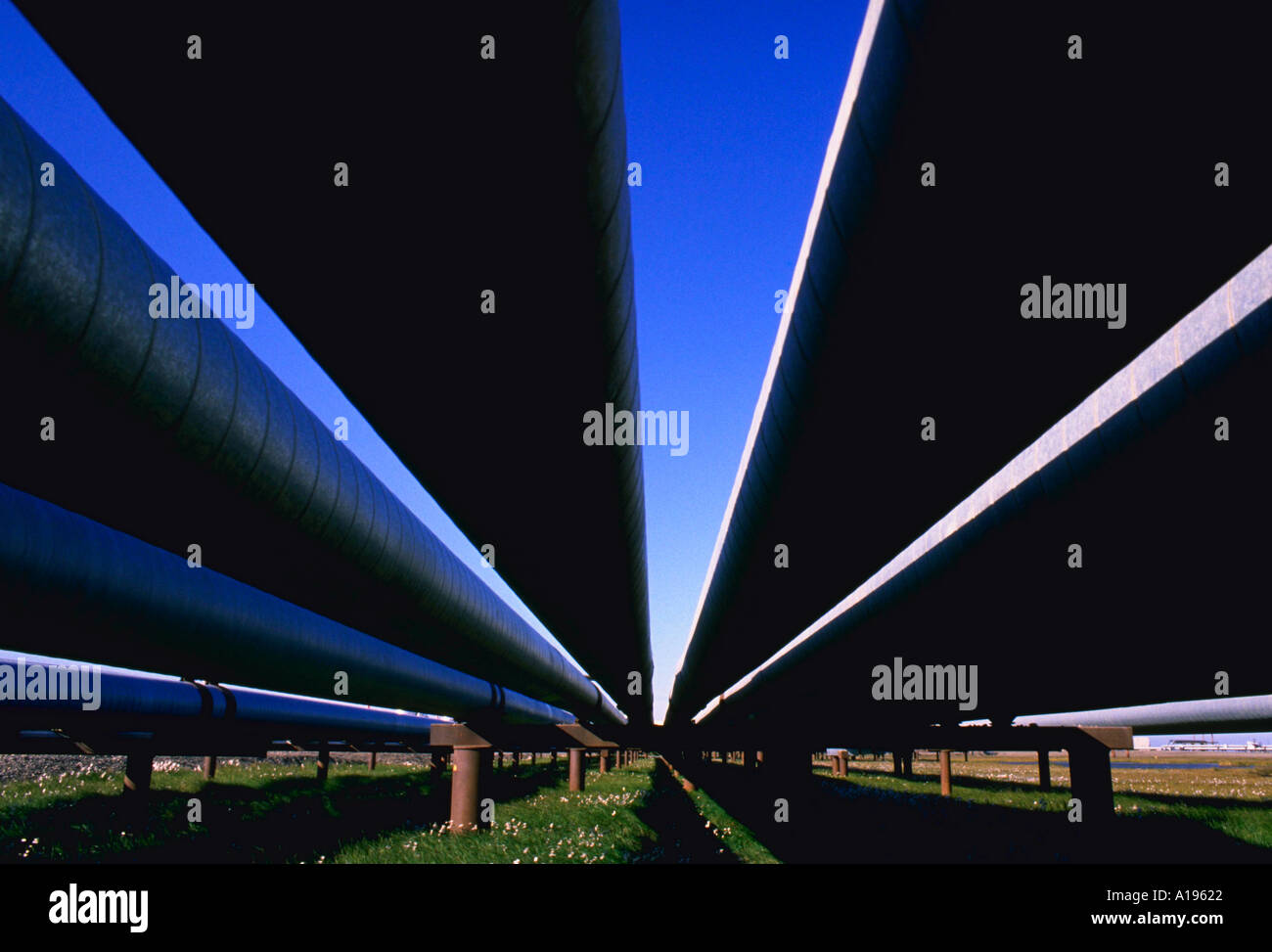 Öl-pipelines Prudhoe Bay, Alaska Stockfoto