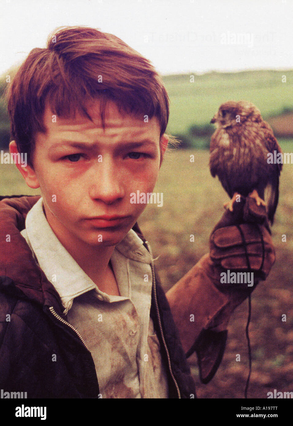 KES 1969 UA Film unter der Regie von Ken Loach Darsteller David Bradley Stockfoto