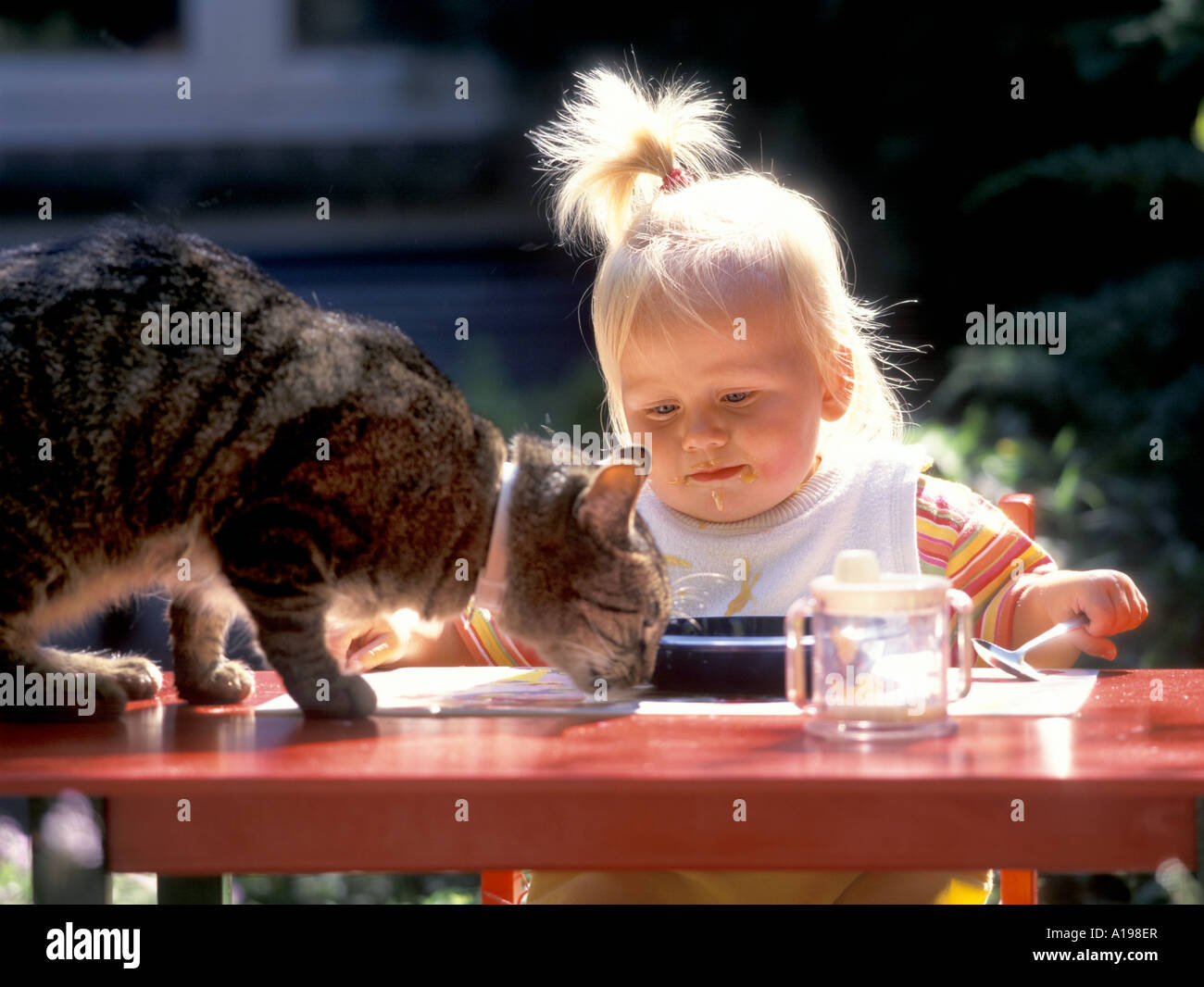 Kleine Mädchen und Katze essen Stockfoto