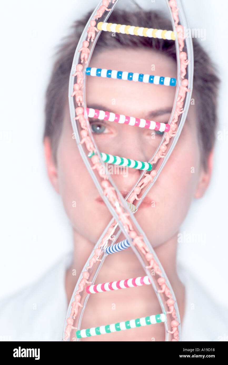 Weibliche Laborantin Blick auf gegenständliche Modell der DNA-helix Stockfoto