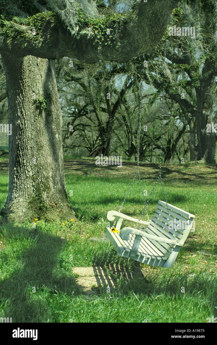 Friedliche Szene: eine weiß lackierte Holz Schaukel hängt von einer riesigen Eiche mit spanischem Moos und Farnen in einem ruhigen Garten, Louisiana USA Stockfoto