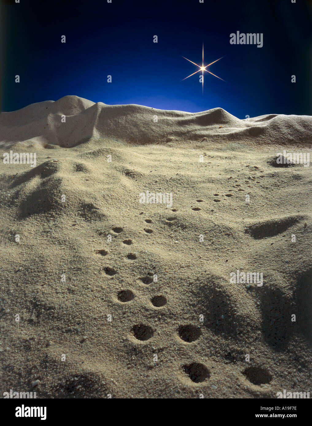 Weihnachtsstern mit Fußspuren In der Wüste in der Nacht Stockfoto
