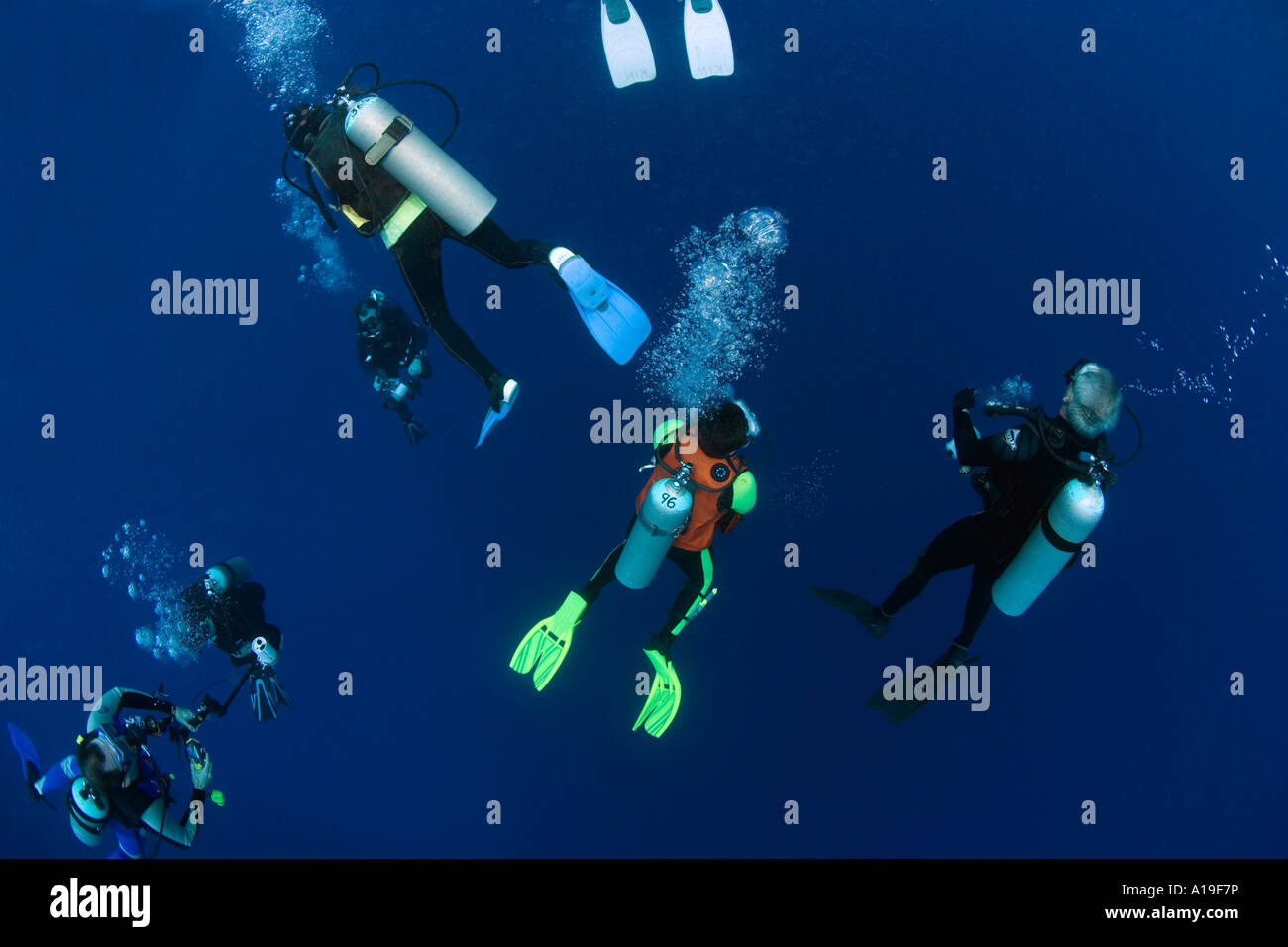 Taucher in Sicherheit nach 135fsw Tauchgang am Teufel s Kehle Punta Sur Divesite Cozumel Mexiko stoppen Stockfoto