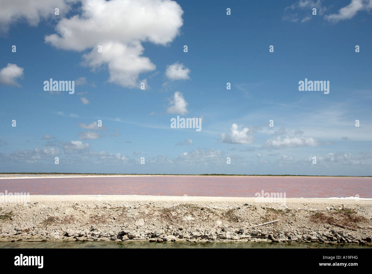 Salinen karibischen Antillen Bonaire Stockfoto