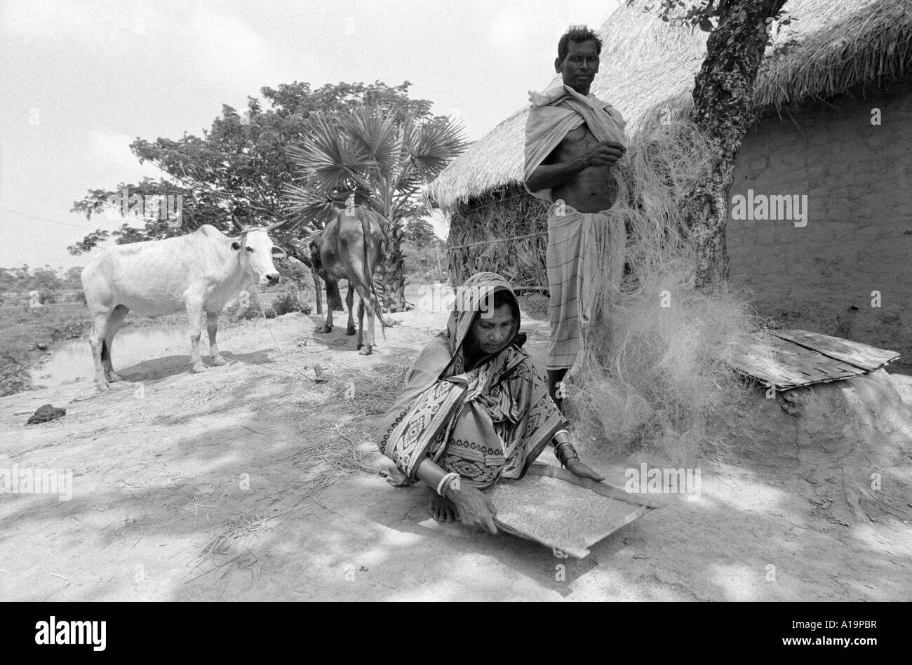 S/W eines Fischers, der seine Netze ausbessern und seine Frau, die Reis vor ihrem Haus im ländlichen Odisha verschlungen hat. Indien Stockfoto