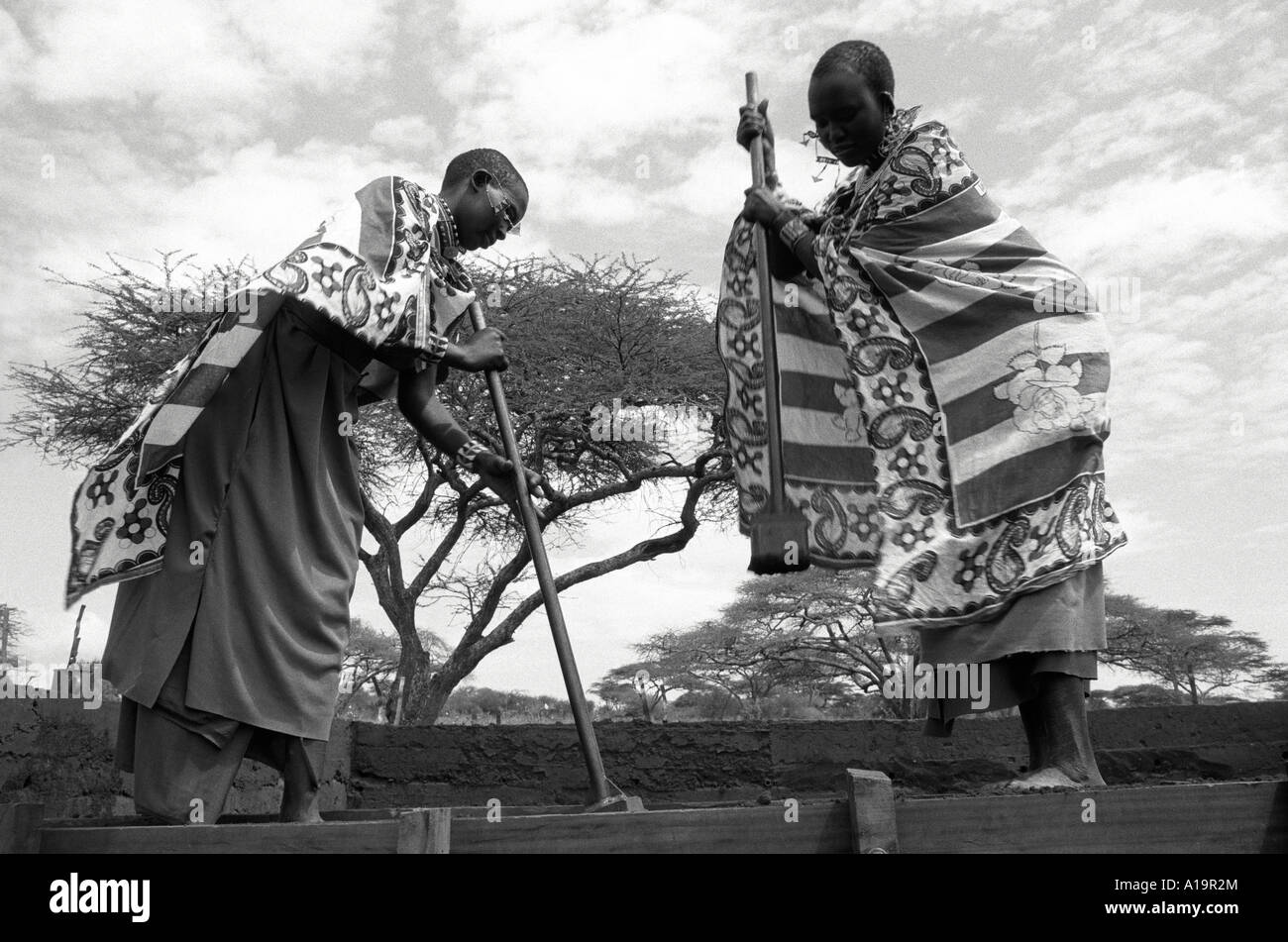 S/W der Maasai Frauen in traditionellen Kleidbau gerammt Erde, länger anhaltende Gehäuse in ihrer Gemeinschaft. Kajiado, Kenia Stockfoto