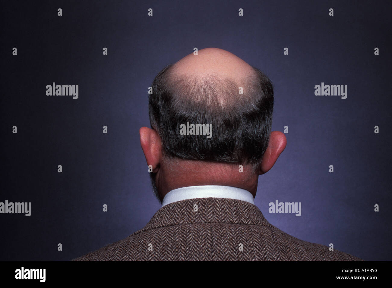 Rückansicht des Mann mit Glatze auf Kopf trägt weißes Hemd Stockfoto