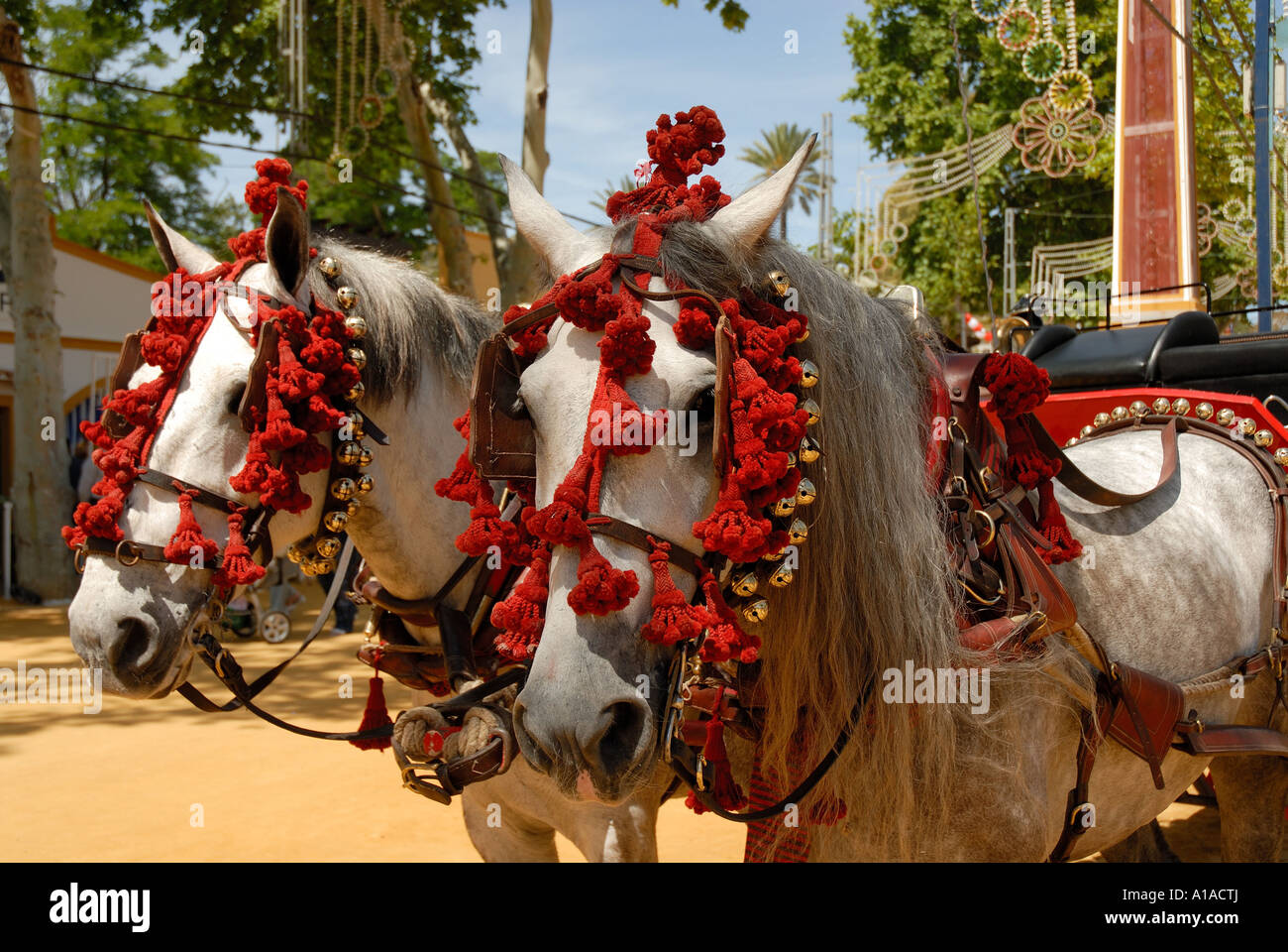 Geschmückten Pferden, Feria de Caballo, Jerez De La Frontera, Cádiz, Andalusien, Spanien, Europa Stockfoto
