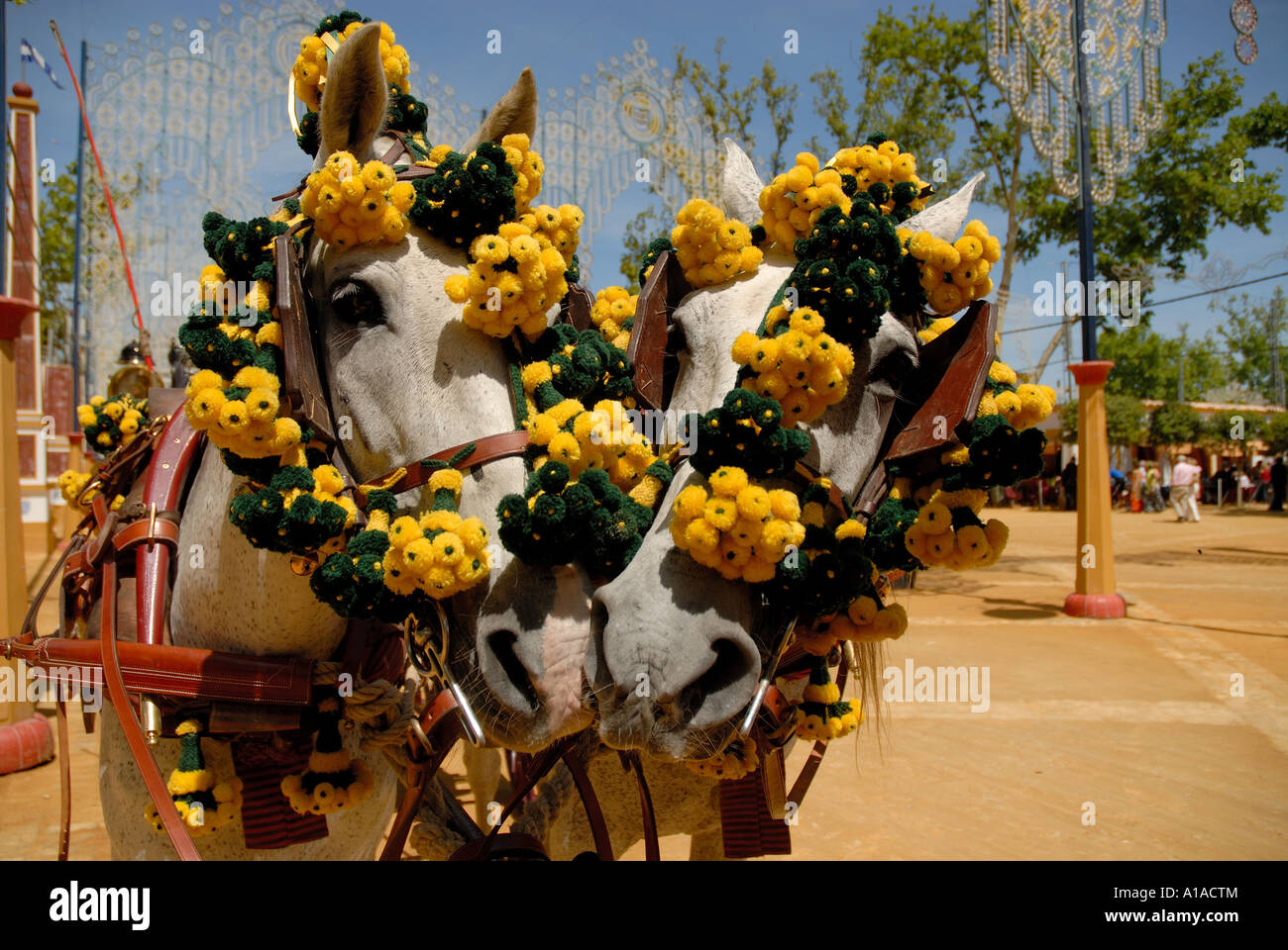 Geschmückten Pferden, Feria de Caballo, Jerez De La Frontera, Cádiz, Andalusien, Spanien, Europa Stockfoto