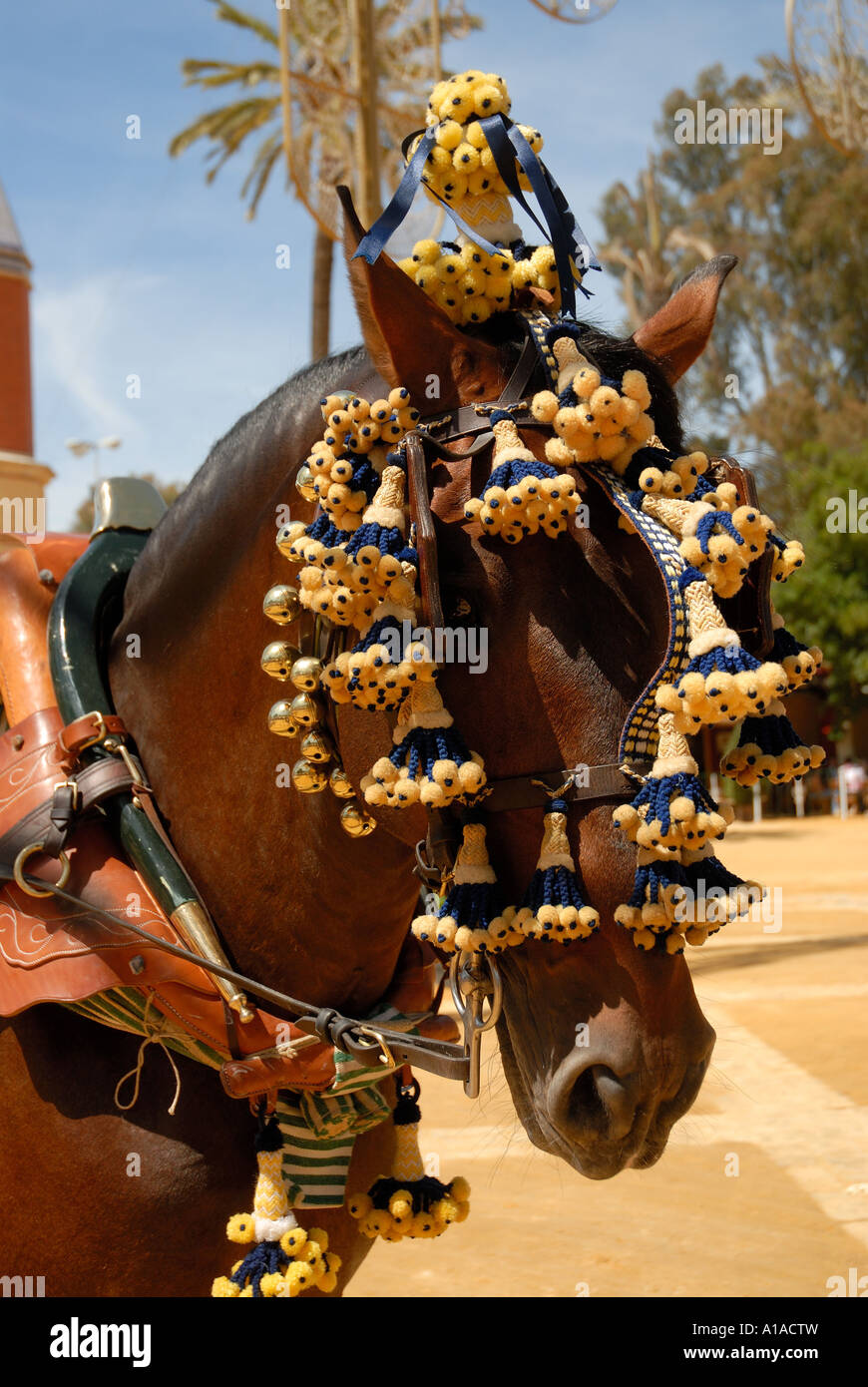 Verziert Pferd, Feria de Caballo, Jerez De La Frontera, Cádiz, Andalusien, Spanien, Europa Stockfoto