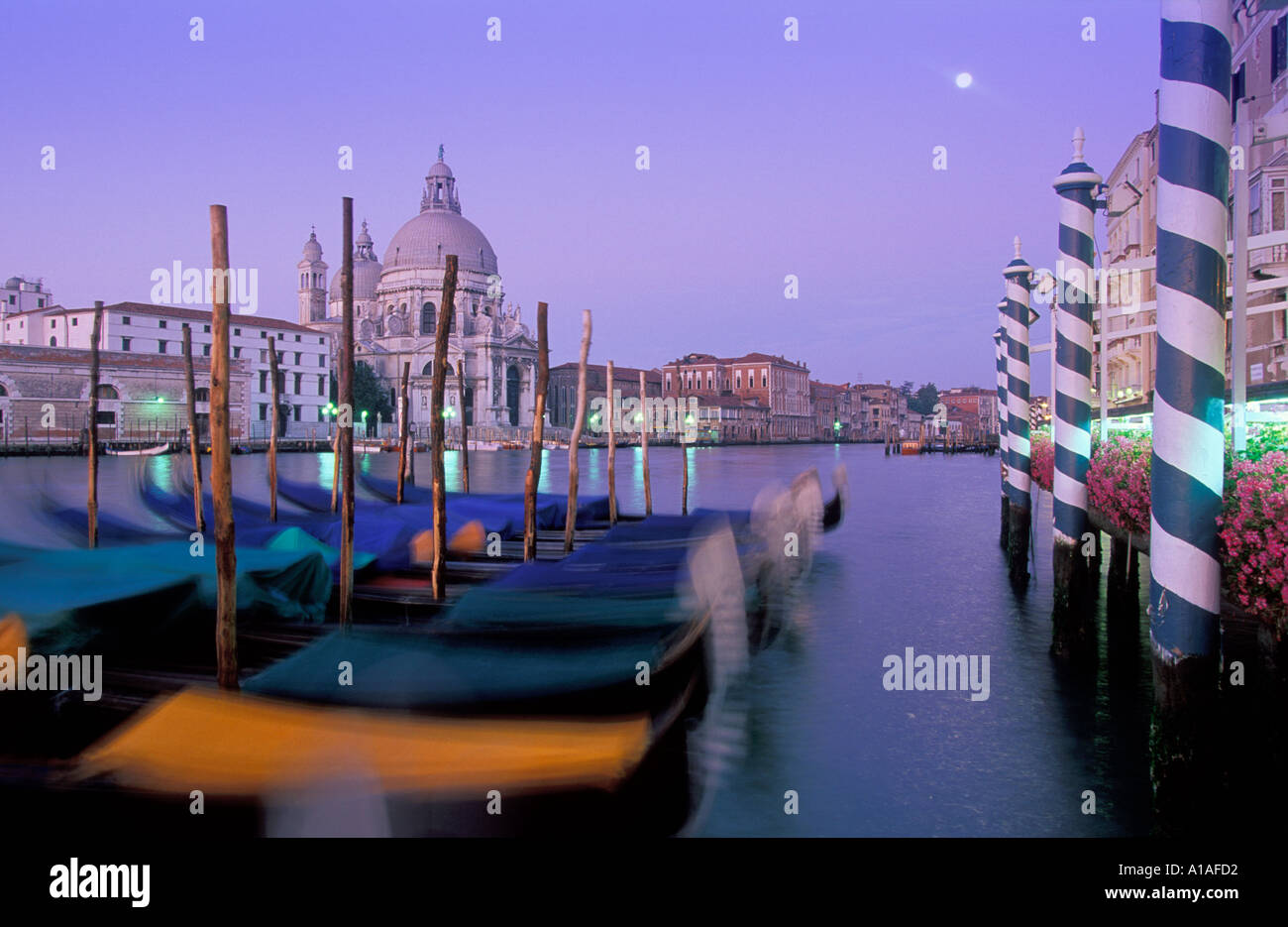 Mond über den Canal Grande und Santa Maria Dellla Salue Venedig Stockfoto