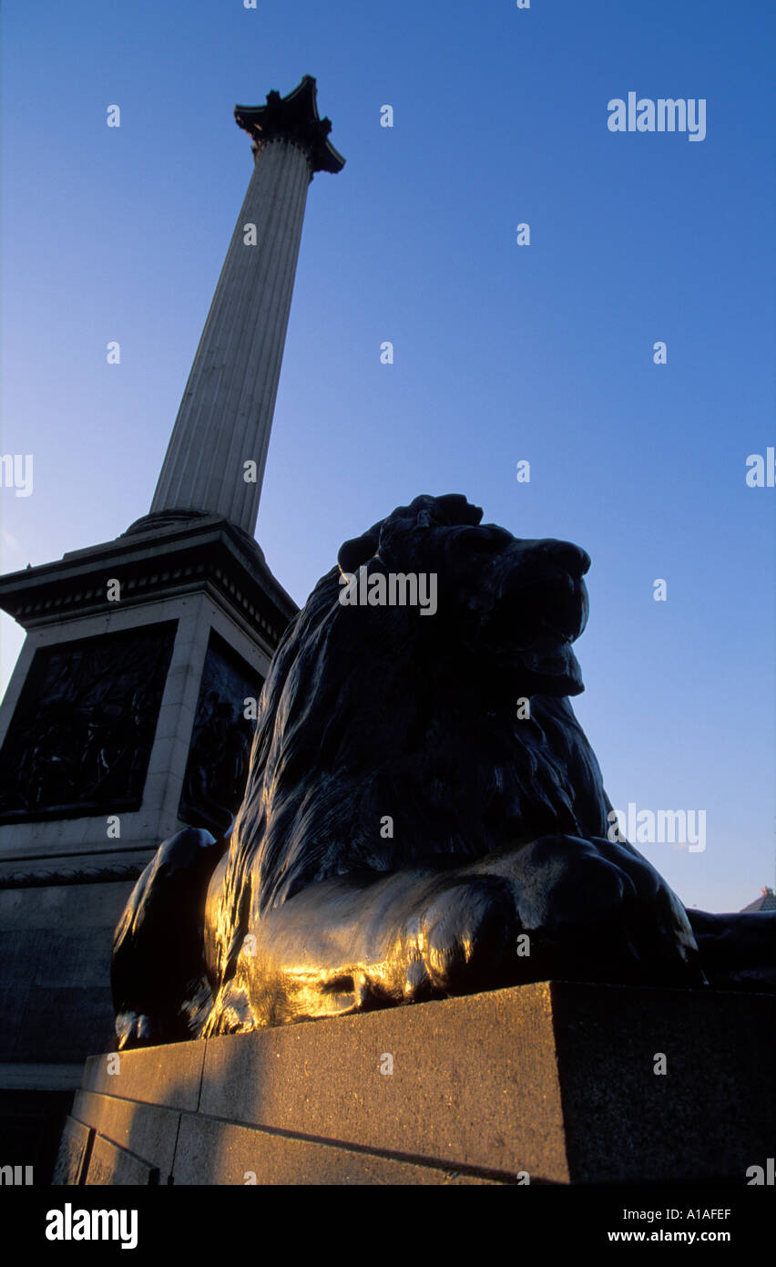 Nelsons Säule Trafalgar Square-London-UK Stockfoto