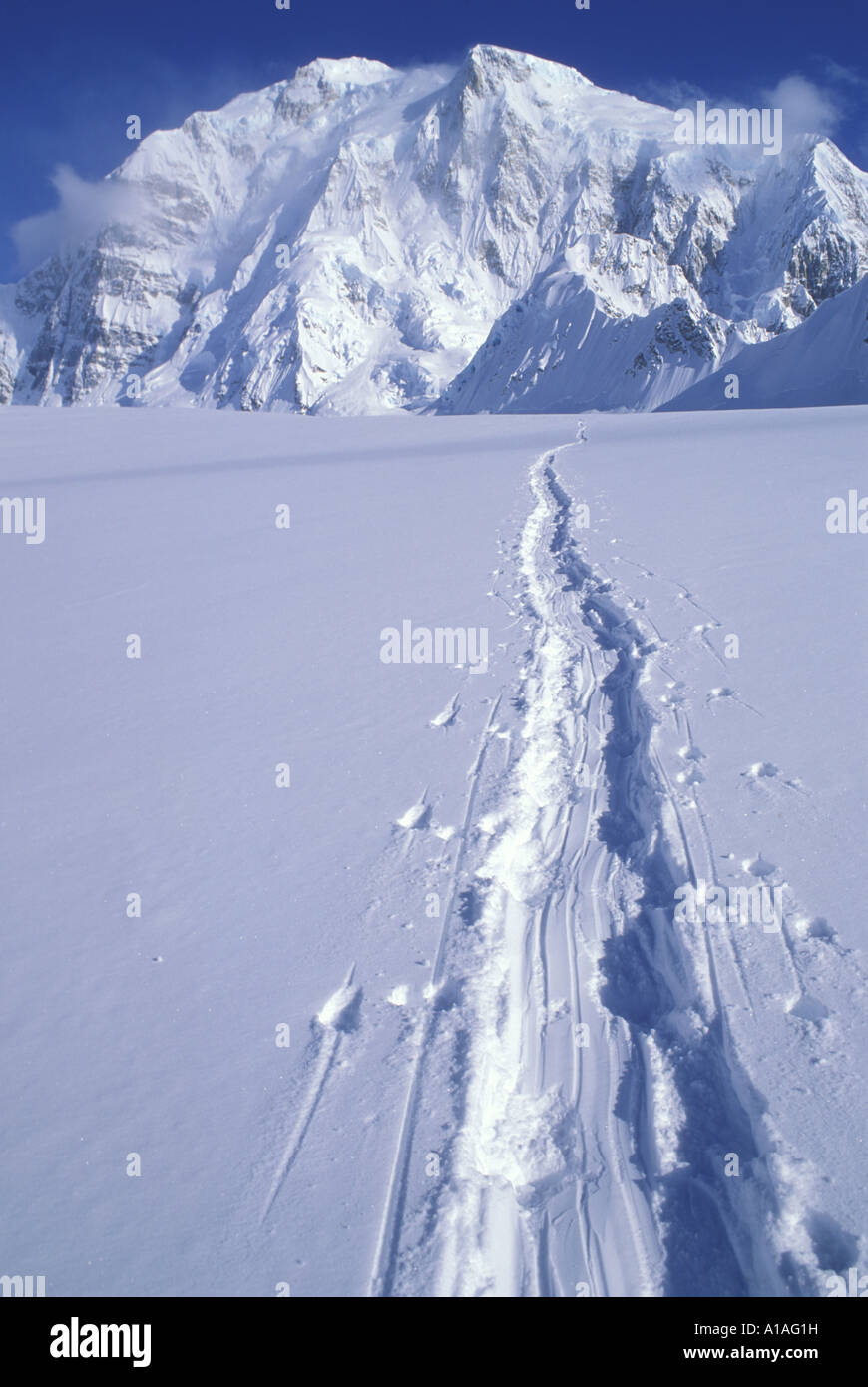 USA Alaska Denali National Park Spuren durch Klettern Expedition im Neuschnee am Kahiltna Gletscher am Mount McKinley erklimmen Stockfoto