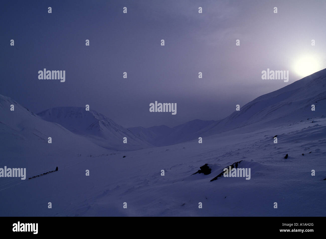 USA Alaska Musher Rennen durch Rainy Pass in Alaska Range Berge während 1993 Iditarod sled dog race Stockfoto