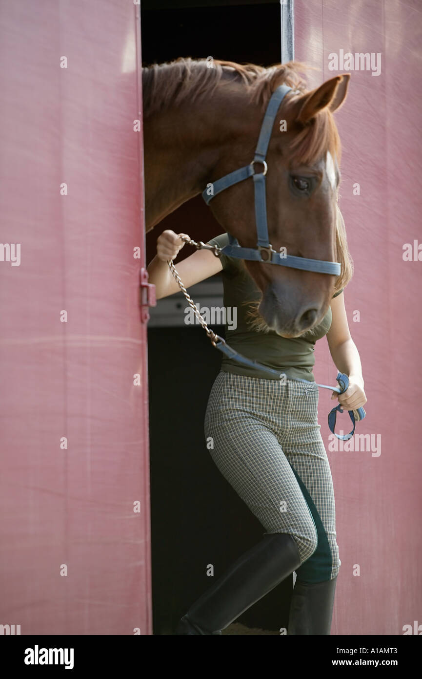 Frau führt Pferd aus Stall Stockfoto