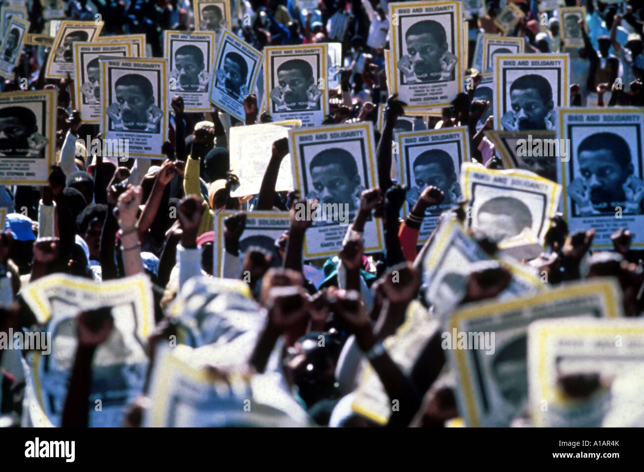 Cry Freedom Jahr 1987 Regisseur Sir Richard Attenborough Stockfoto
