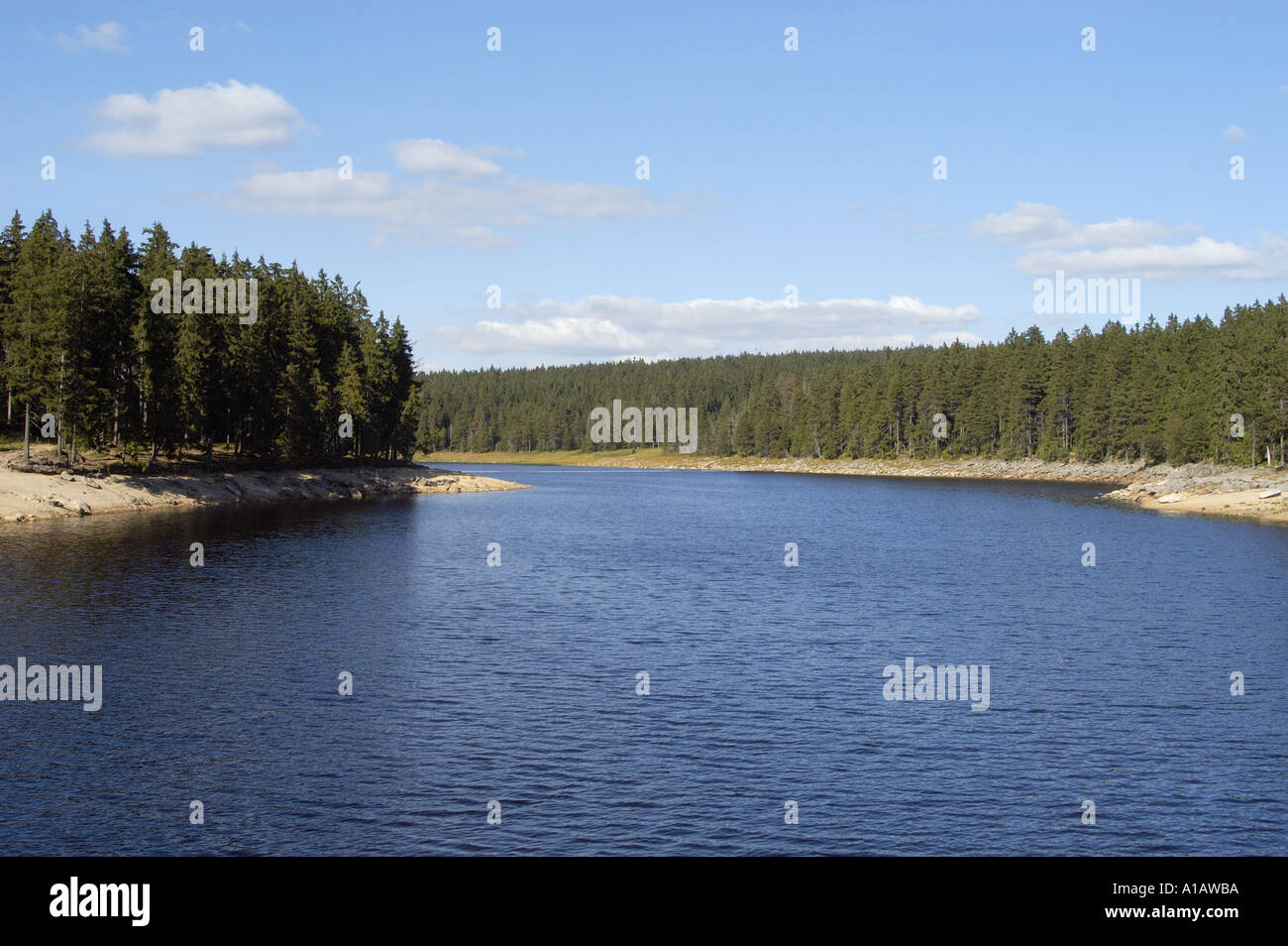 Oderteich See Harz Niedersachsen Deutschland Stockfoto