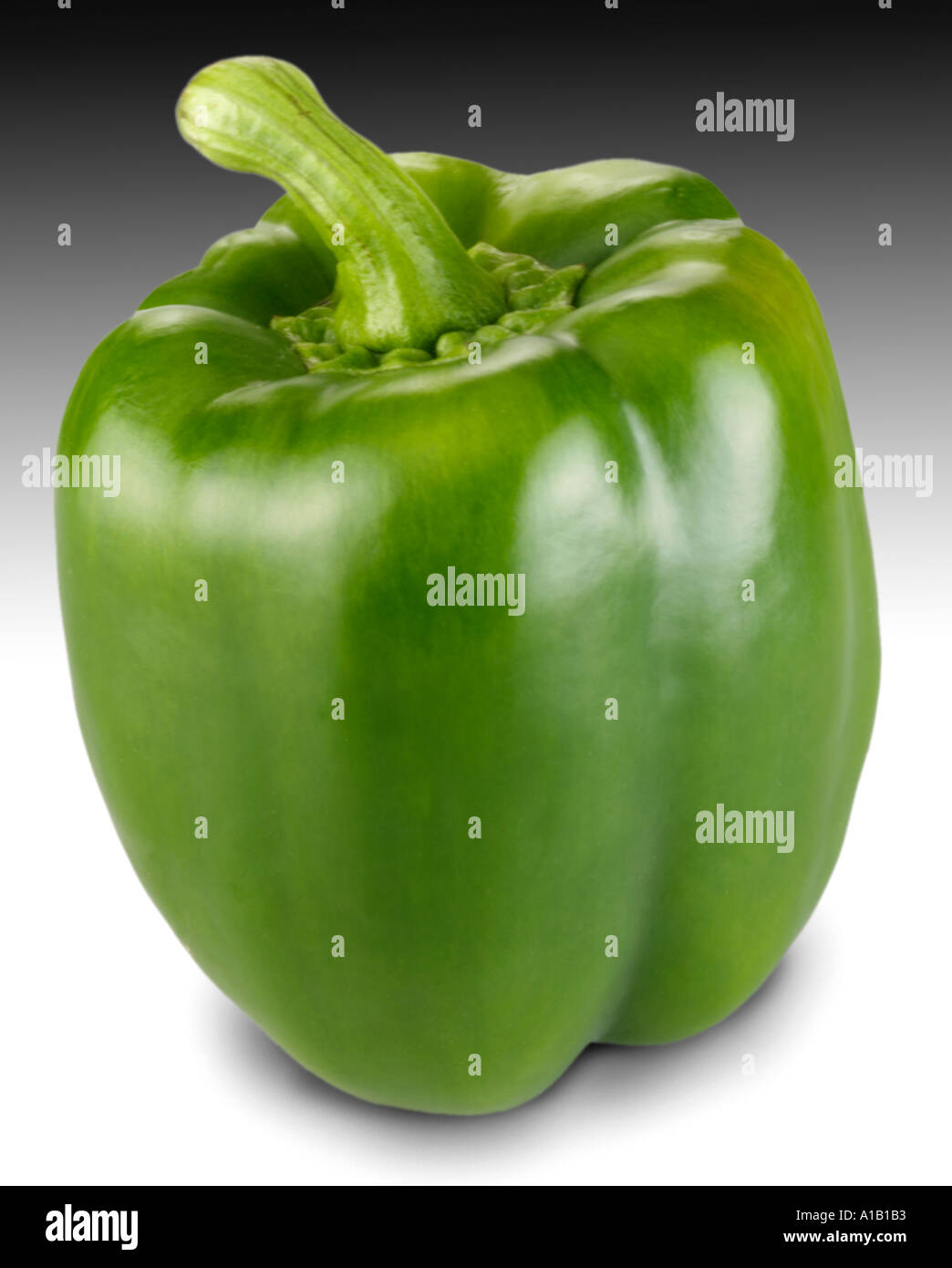 EINZELNE GRÜNE PAPRIKA Stockfoto