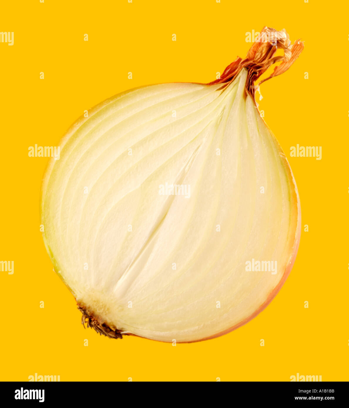 eine halbe Zwiebel auf gelb Stockfoto
