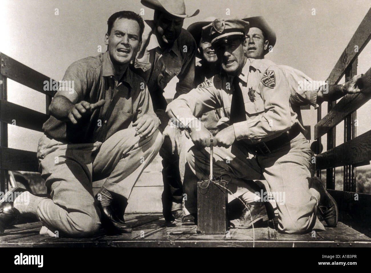 Vogelspinne Jahr 1955 Regisseur Jack Arnold Leo G Carroll John Agar Stockfoto
