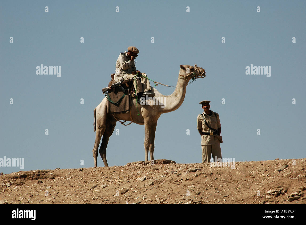Ägyptischen Soldaten auf einem Kamel, Ägypten montiert Stockfoto
