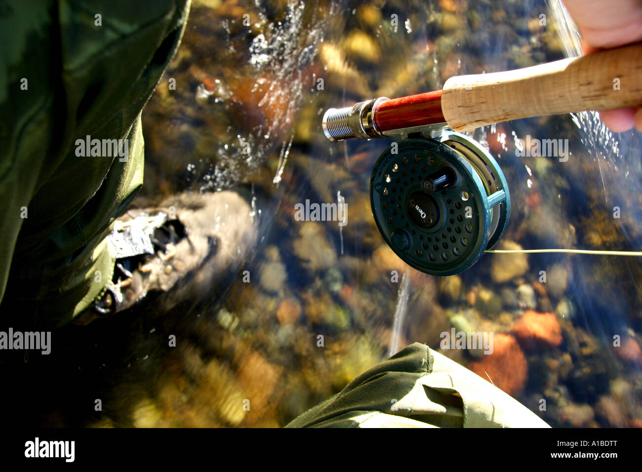 Ein Fliegenfischer kniet sich in den klaren Gewässern von einem Alaskan Creek, USA. Stockfoto