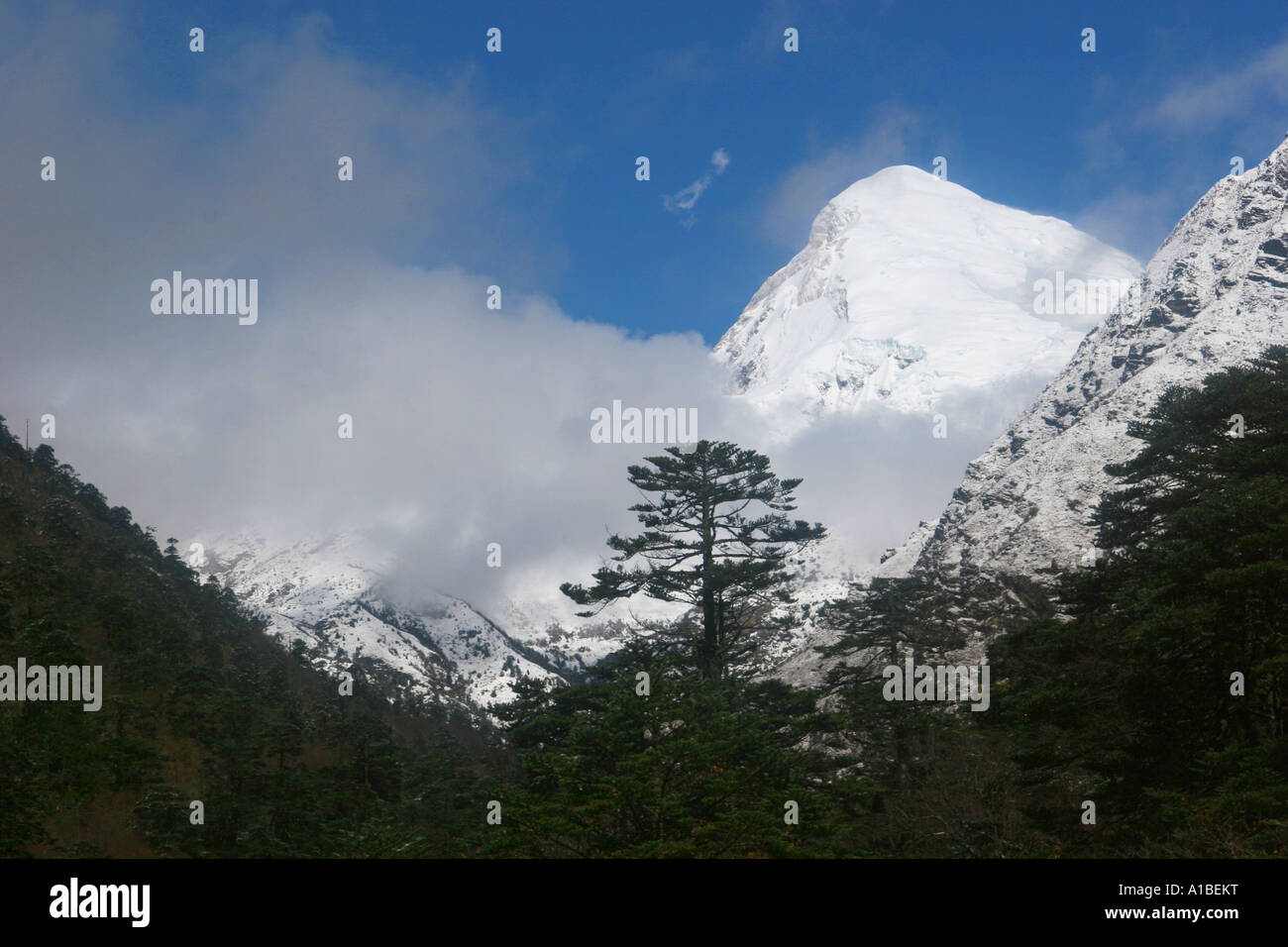 Jhomolhari, Bhutan zweite höchsten Berg von Paro Tal gesehen. Stockfoto