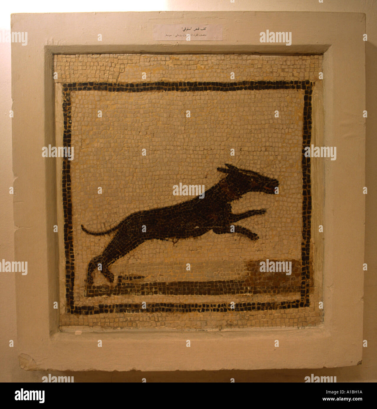 Hund-Mosaik Sousse Tunesien Stockfoto
