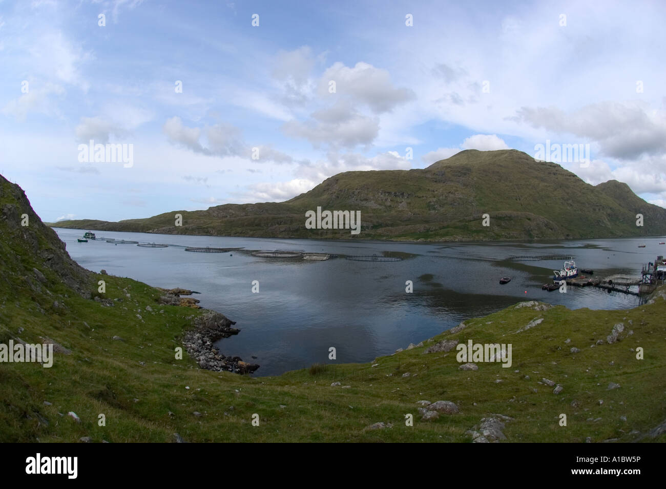 Celtic Atlantic Salmon Ltd Lachs Farm befindet sich in der einzig wahren Fjord Irlands Killary Harbour Landschaft Stockfoto