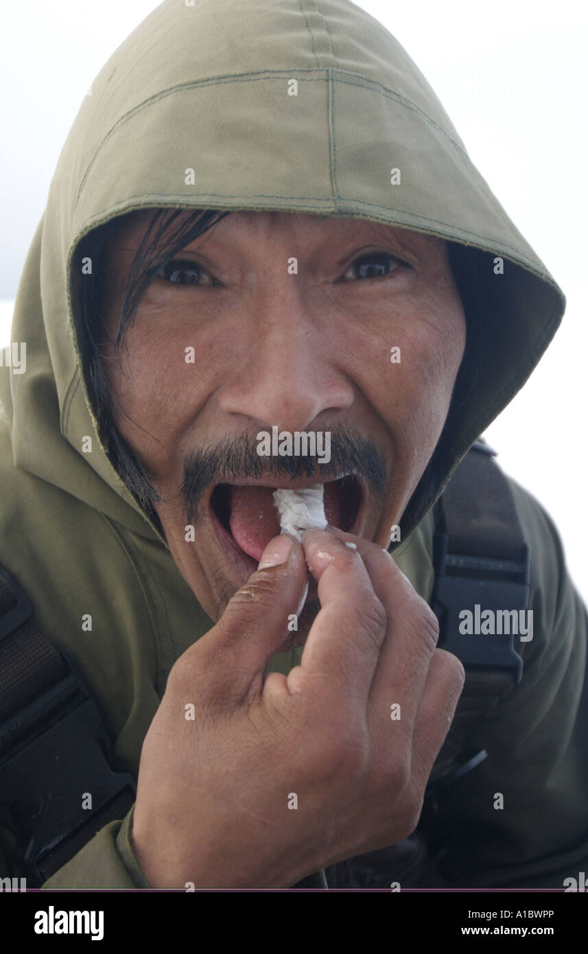 Inuit Essen Stockfotos Und Bilder Kaufen Alamy