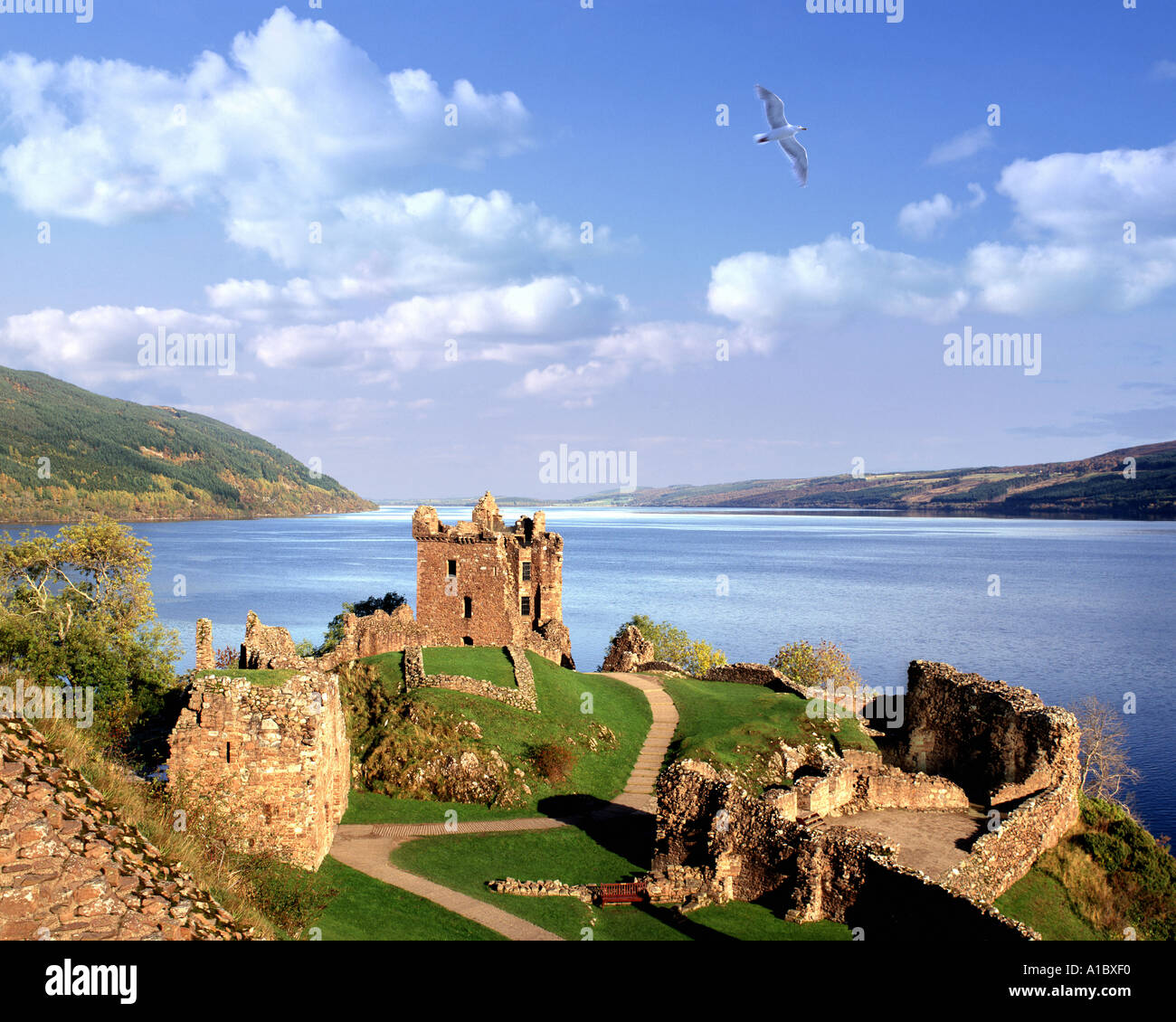GB - Schottland: Urquhart Castle und Loch Ness Stockfoto