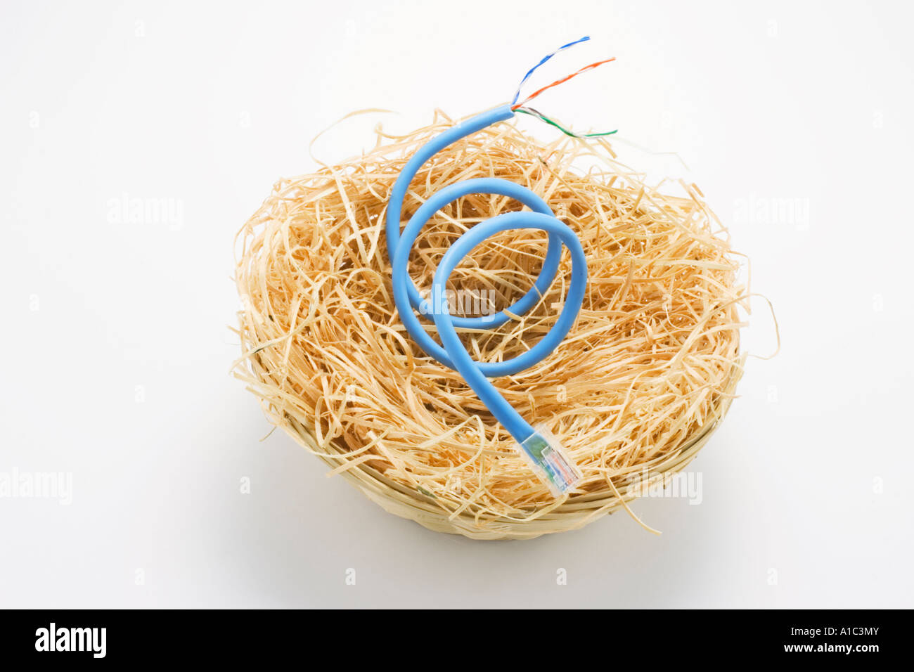 Netzwerkkabel im Nest Stockfoto