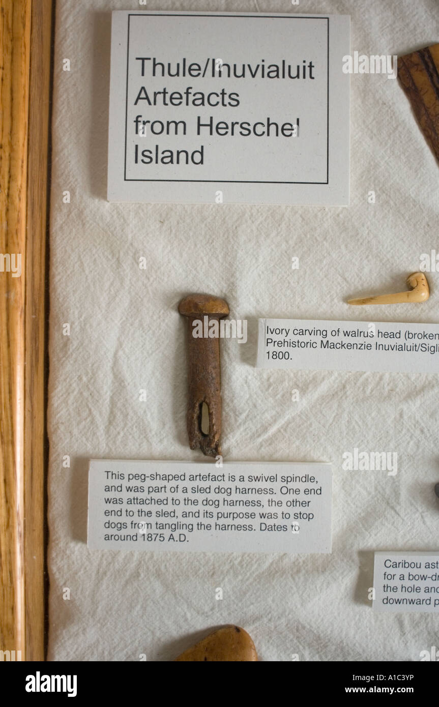 Artefakte im Herschel Island Museum abseits das Mackenzie River Delta Yukonterritorium, Kanada Stockfoto