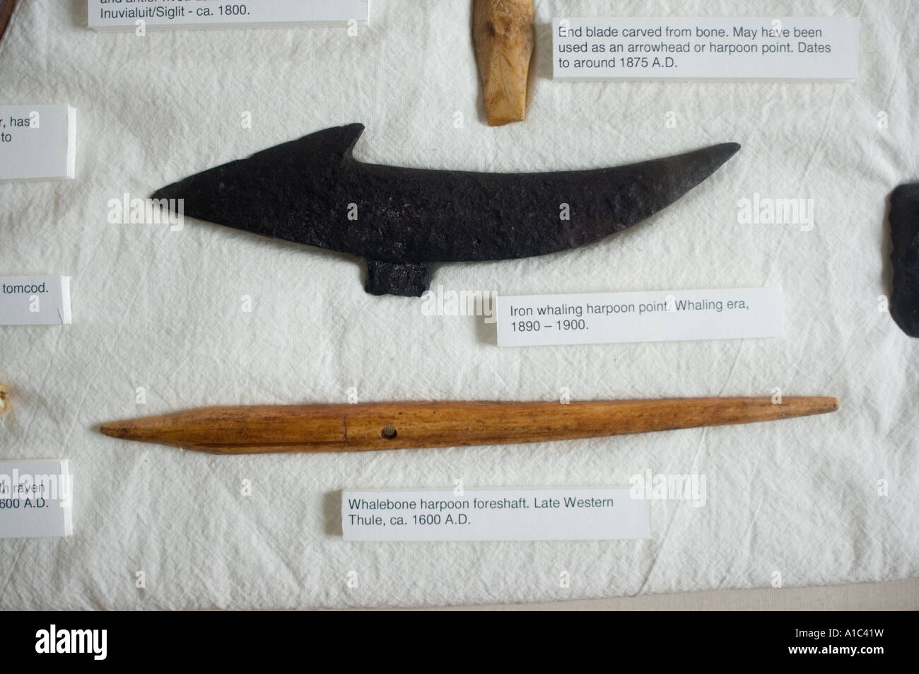 Walfang-Artefakte im Herschel Island Museum aus der Mackenzie River Delta Yukonterritorium, Kanada Stockfoto