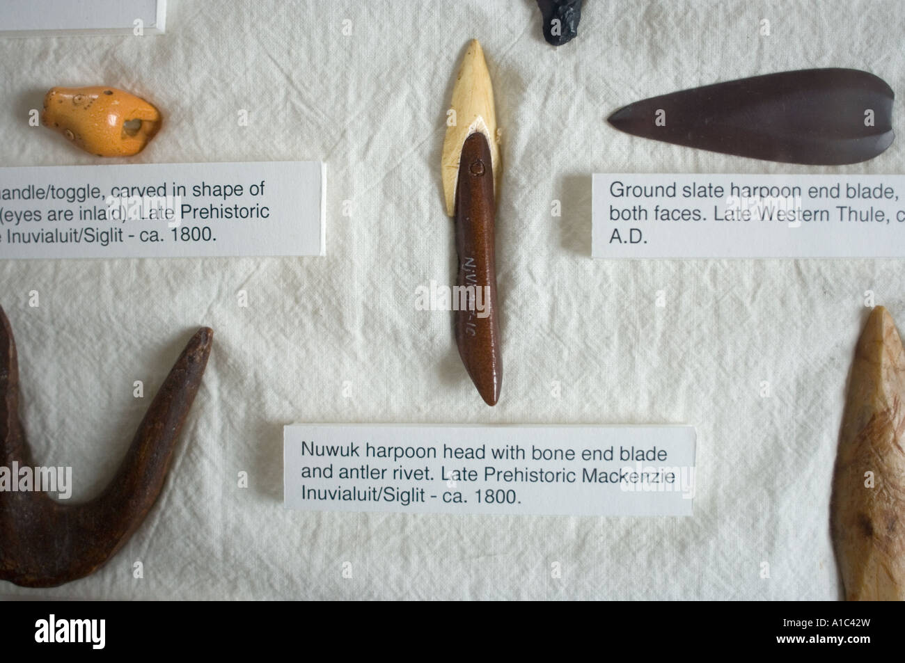 Artefakte im Herschel Island Museum abseits das Mackenzie River Delta Yukonterritorium, Kanada Stockfoto