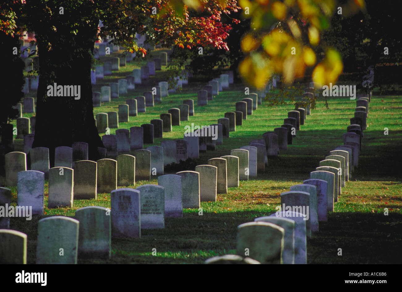 Reihen von Grabsteinen auf dem Arlington National Cemetery in der Nähe von Washington DC auf dem Gelände Fort Myer genommen im Herbst Stockfoto