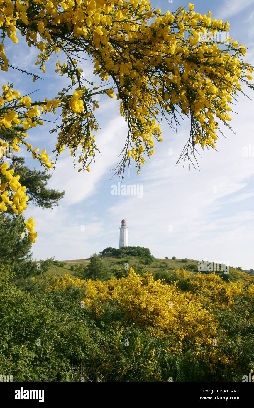 Leuchtturm auf Hiddensee Insel, Deutschland, Mecklenburg-Vorpommern, Hiddensee Stockfoto