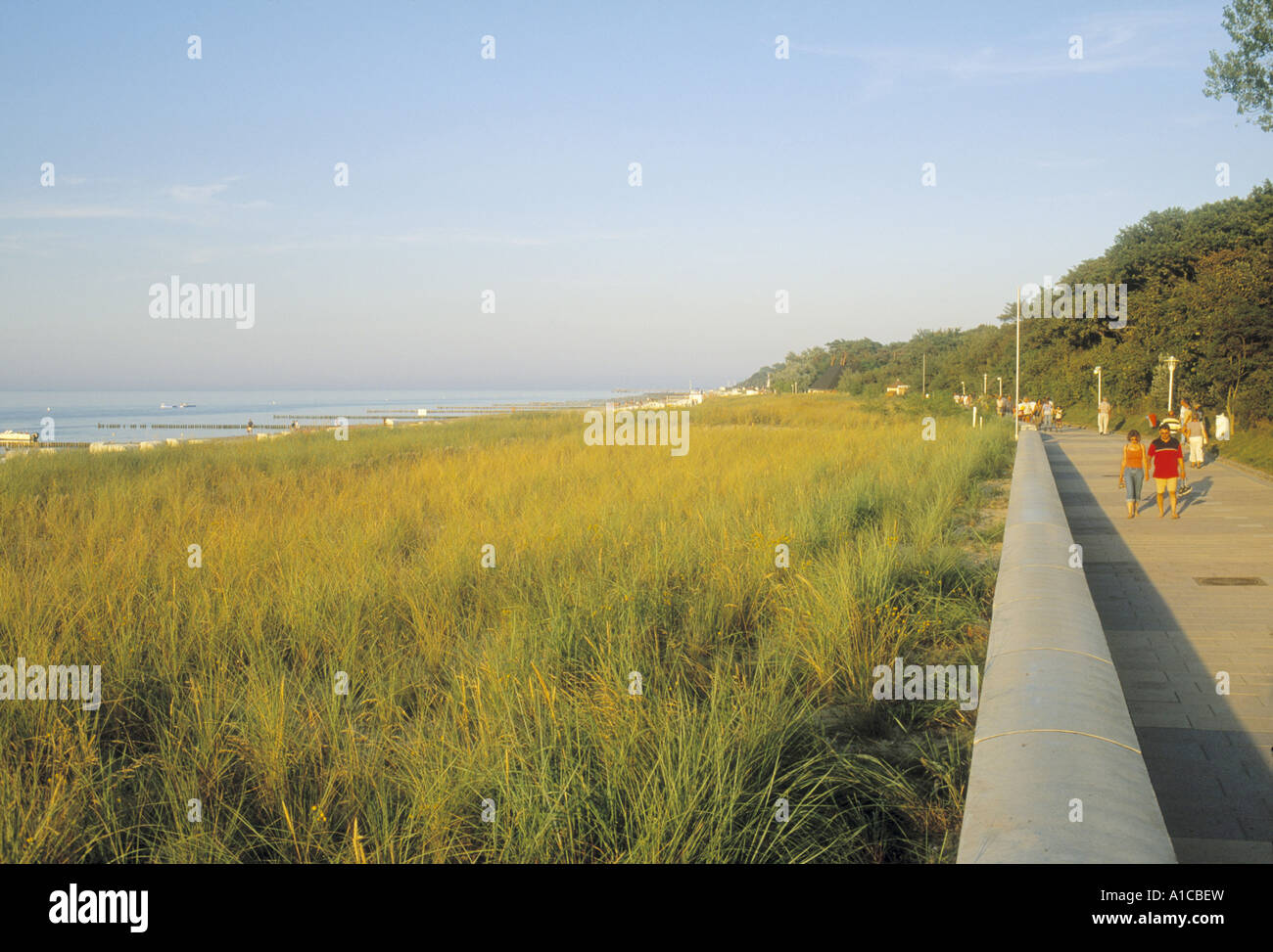 Strandpromenade, Ostsee, Usedom, Mecklenburg-Vorpommern, Deutschland Stockfoto